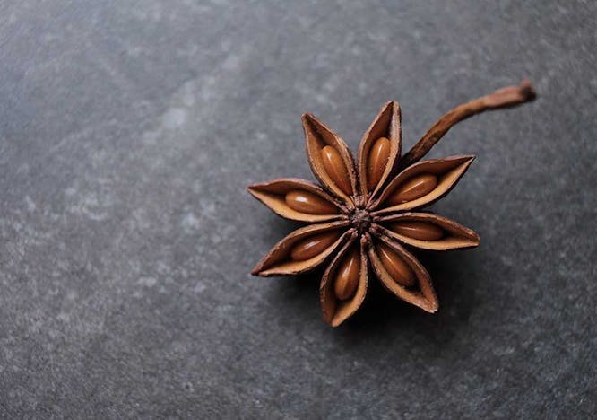 plant anise spice