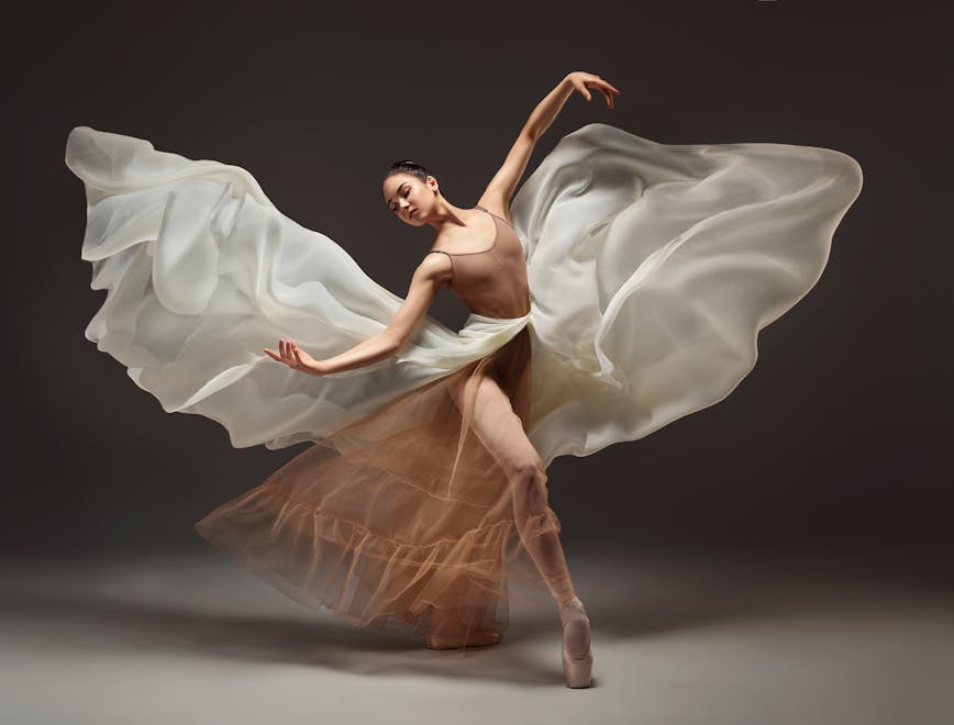 studio,dress,beauty,concert,classic dance,graceful,dance school, dancing leisure activities person ballerina ballet adult female woman