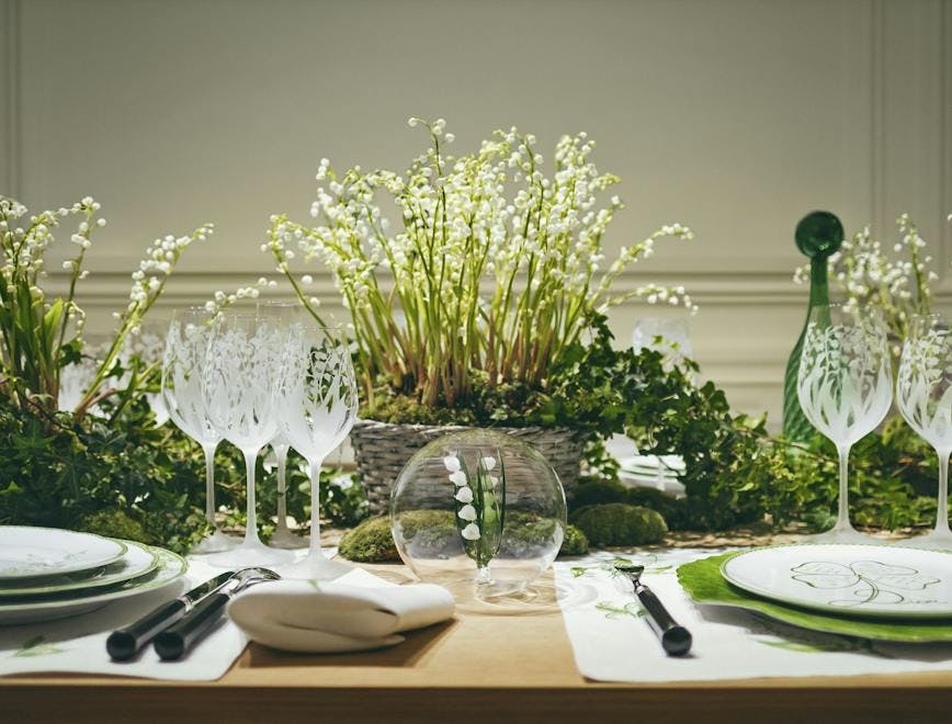 tabletop furniture table dining table glass plant