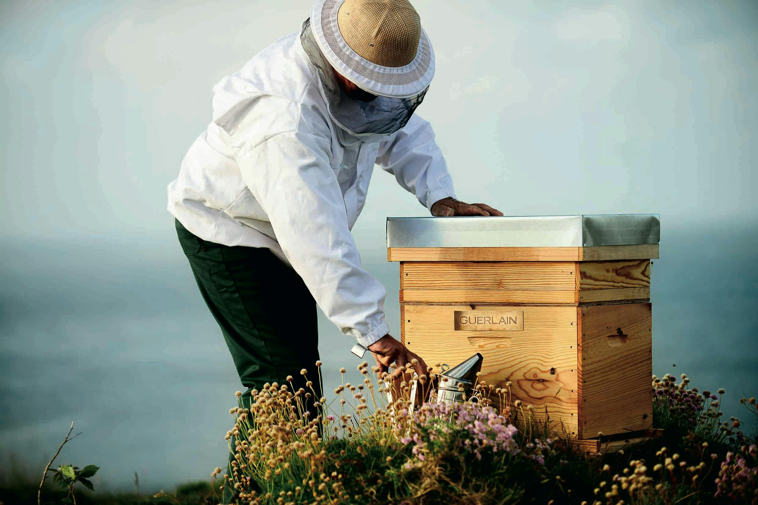 person human apiary