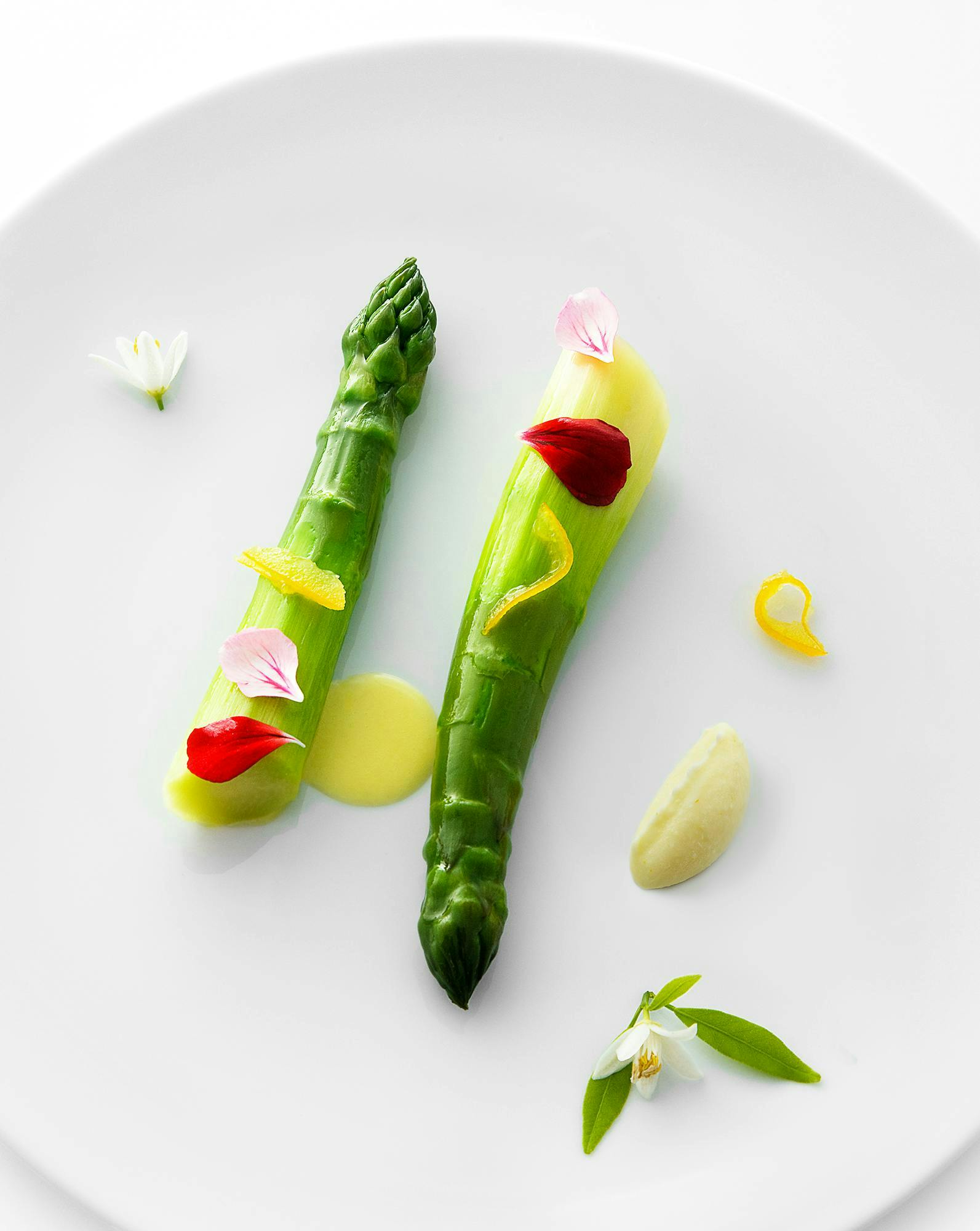 plant food vegetable asparagus