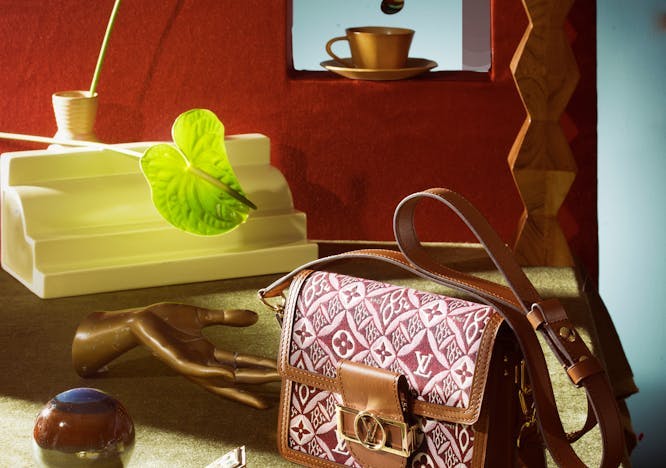 accessories accessory plant handbag bag