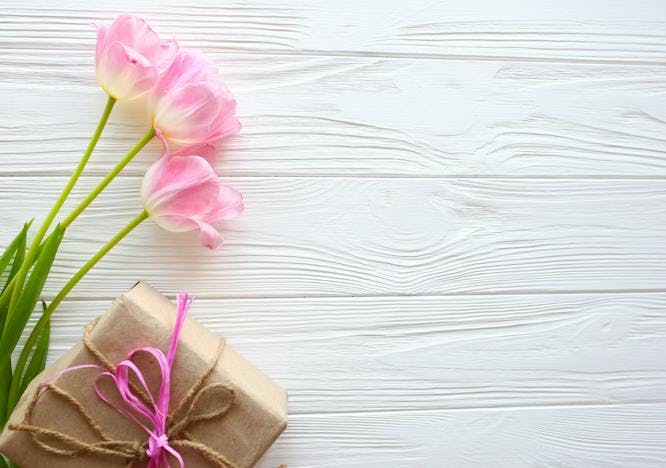 birthday,gift,love,pink,concept,yellow,holiday,spring,beautiful, plant flower blossom