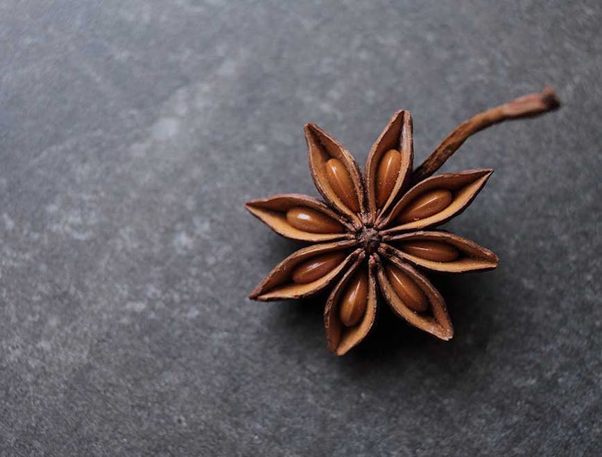 plant anise spice