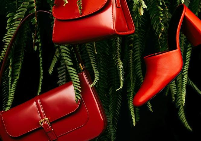 handbag accessories bag accessory purse high heel clothing footwear shoe apparel