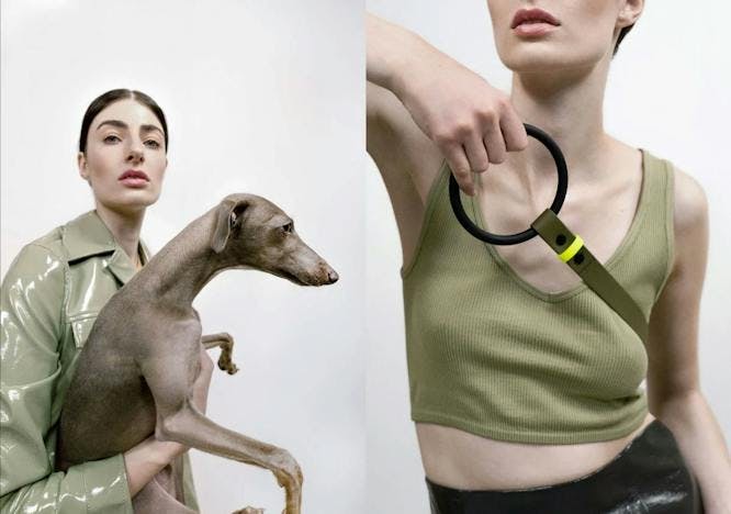 dog leash designer brand