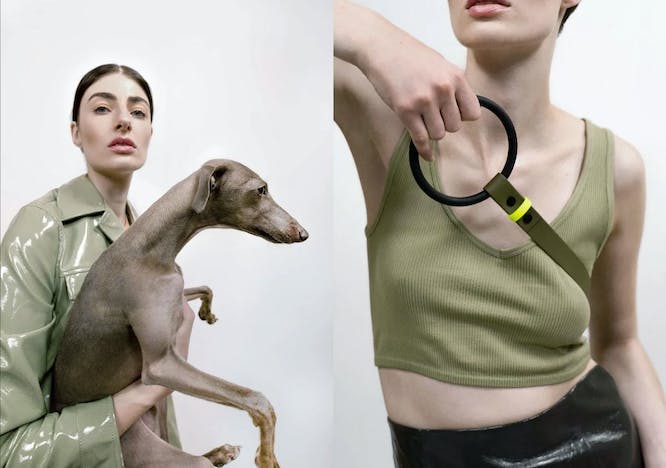 dog pet mammal canine animal person woman adult female